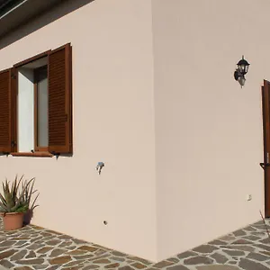 Mimosa , Rispescia Italia